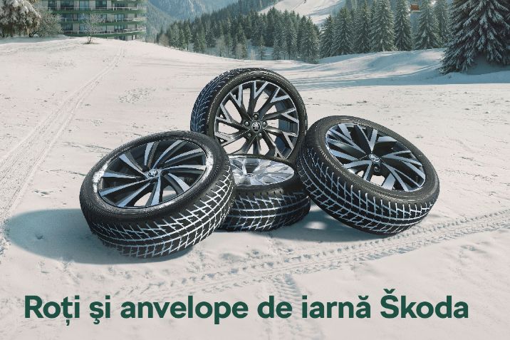 toamna-iarna-bannere-site-dealer-skoda