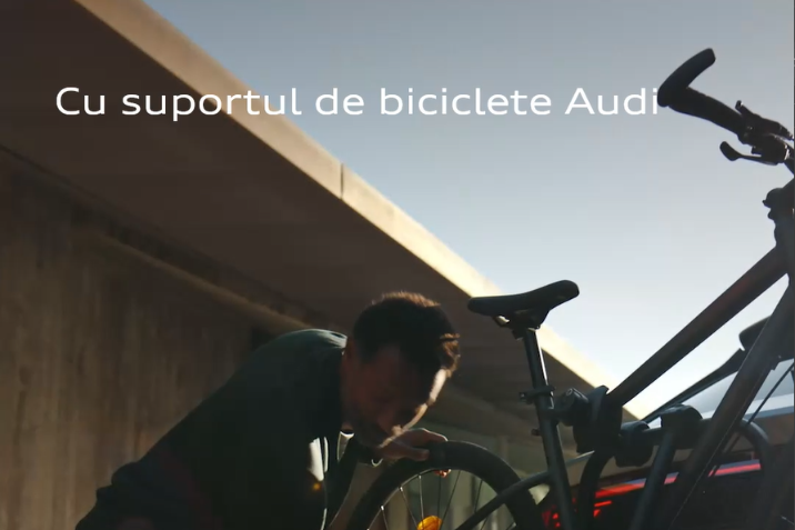 Acesorii Audi