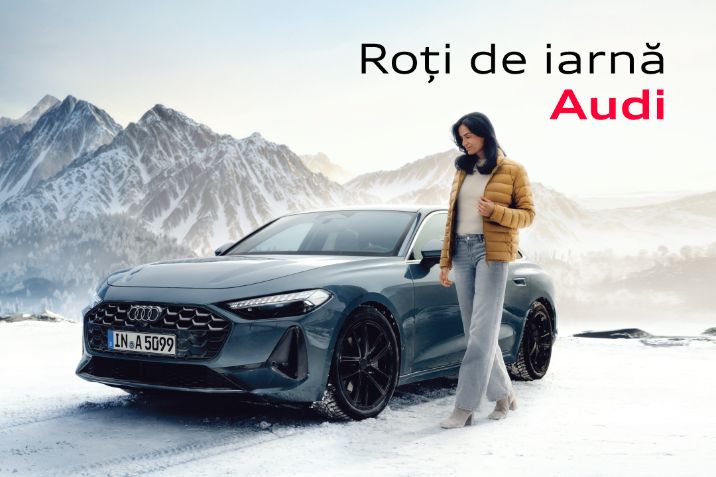 toamna-iarna-bannere-site-dealer-audi