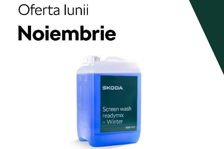 oferta-lunii-noiembrie-skoda (1)