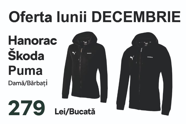 skoda-banner-oferta-lunii-decembrie